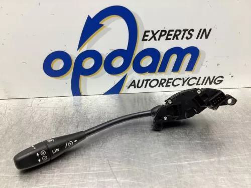 Cruise Control Bediening-7868727