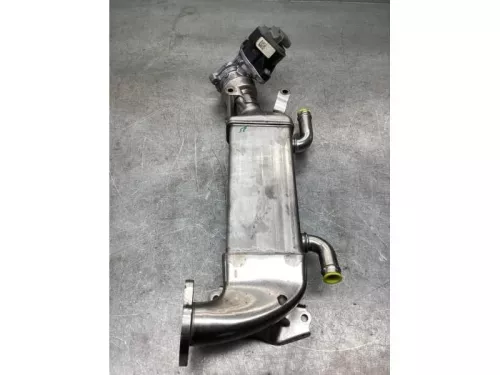 EGR koeler-8080373