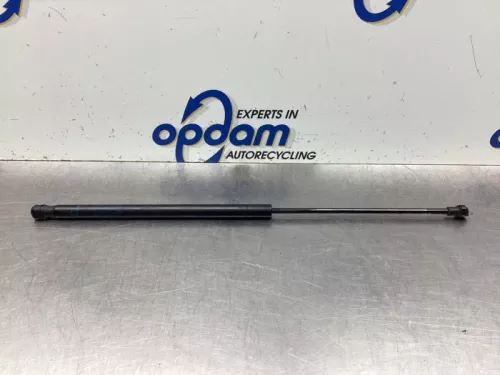 Gasdemper links-achter-8038446