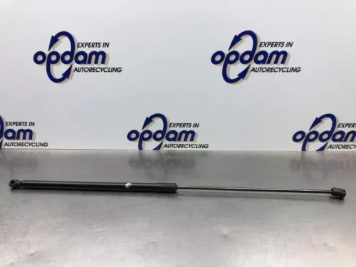 Gasdemper Motorkap rechts-6921457