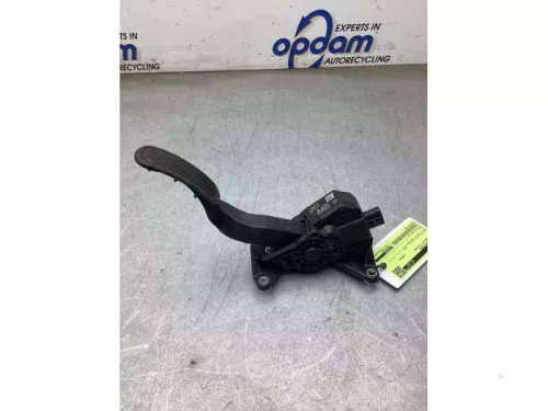 Gaspedaalpositie Sensor-8266027