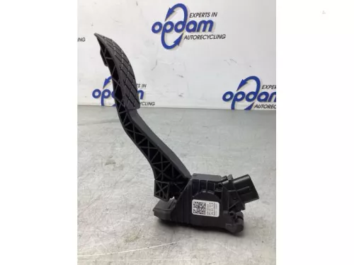 Gaspedaalpositie Sensor-8029563