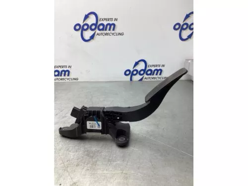 Gaspedaalpositie Sensor-7934572