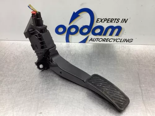 Gaspedaalpositie Sensor-6495926