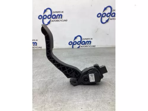 Gaspedaalpositie Sensor-8028933
