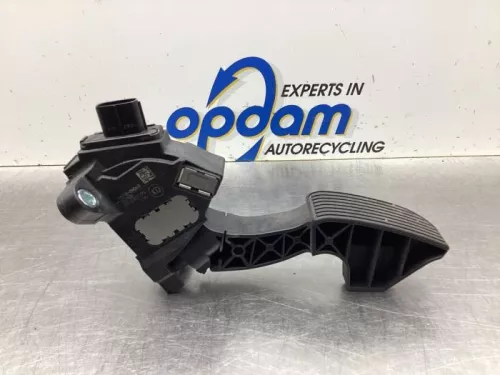 Gaspedaalpositie Sensor-8069735
