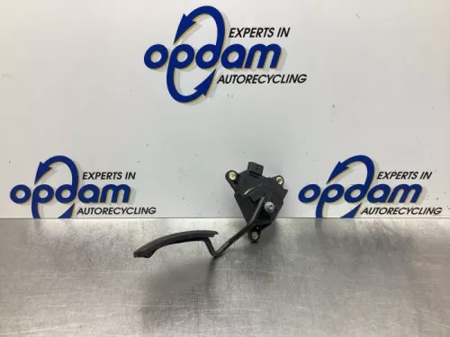 Gaspedaalpositie Sensor-7926255