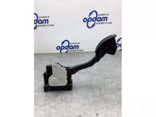 Gaspedaalpositie Sensor-8237639