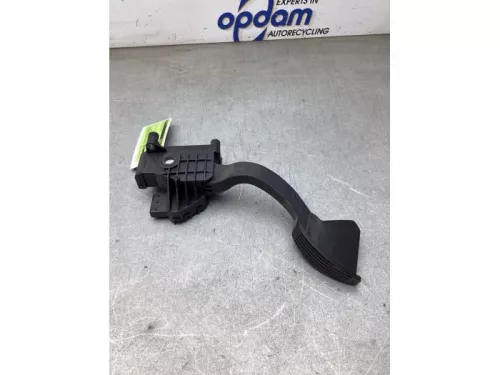 Gaspedaalpositie Sensor-8254144