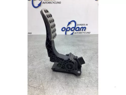 Gaspedaalpositie Sensor-7981015