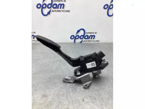 Gaspedaalpositie Sensor-8025281