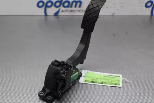 Gaspedaalpositie Sensor-7717999