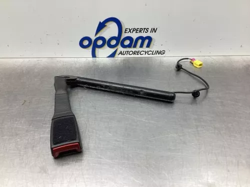 Gordelspanner rechts-7987526