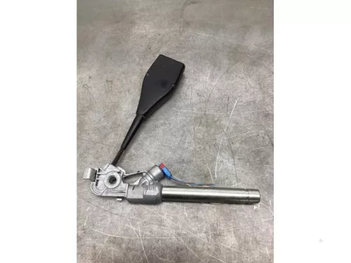 Gordelspanner rechts-8234054