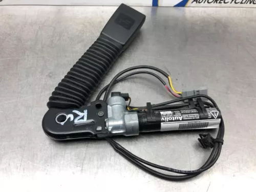 Gordelspanner rechts-7360868