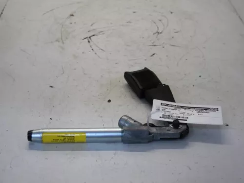 Gordelspanner rechts-7881857