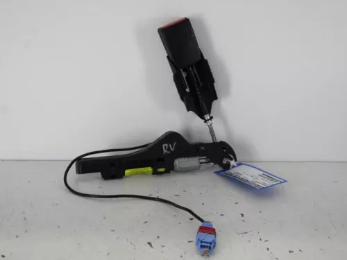 Gordelspanner rechts-7886256