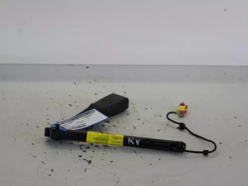 Gordelspanner rechts-7886599