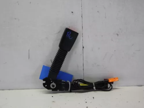 Gordelspanner rechts-7582582