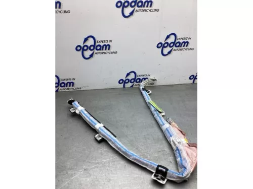 Hemel Airbag-8300843