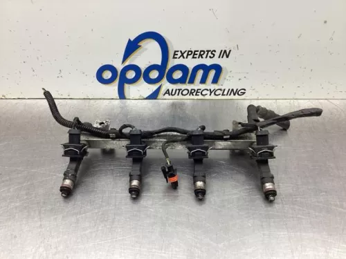 Injector (benzine injectie)-8133940