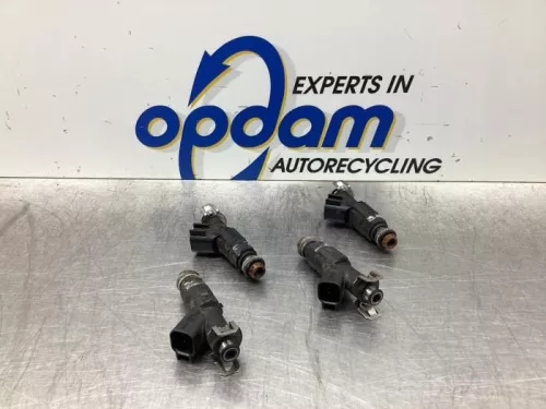 Injector (benzine injectie)-7977194