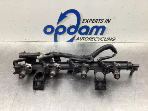 Injector (benzine injectie)-7883048