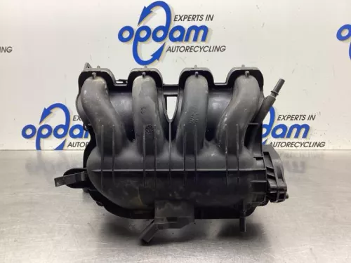 Inlaatspruitstuk-8131553