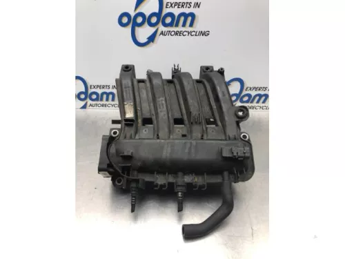 Inlaatspruitstuk-7576933