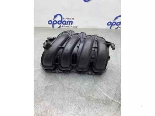 Inlaatspruitstuk-7977487