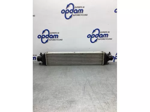 Intercooler-8201400