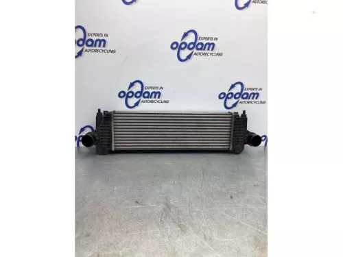 Intercooler-7717666