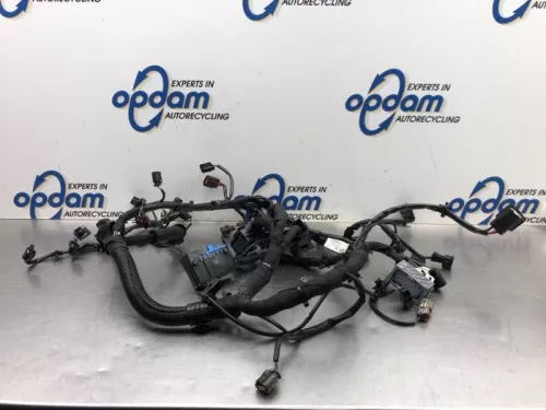 Kabelboom motorruimte-8029827