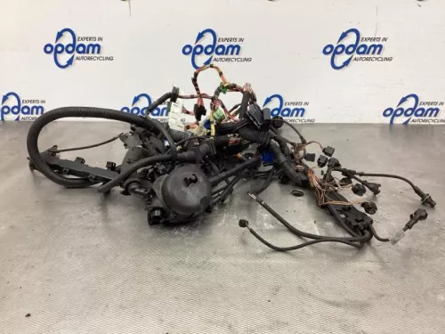 Kabelboom motorruimte-7929197